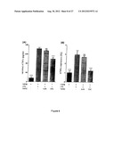 Spheroidal Aggregates of Mesenchymal Stem Cells diagram and image