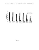 Spheroidal Aggregates of Mesenchymal Stem Cells diagram and image