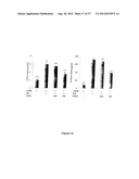 Spheroidal Aggregates of Mesenchymal Stem Cells diagram and image