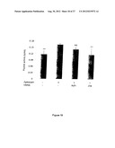 Spheroidal Aggregates of Mesenchymal Stem Cells diagram and image