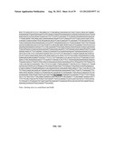 HIV-1 CLADE A CONSENSUS SEQUENCES, ANTIGENS, AND TRANSGENES diagram and image