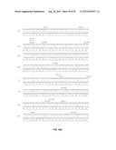 HIV-1 CLADE A CONSENSUS SEQUENCES, ANTIGENS, AND TRANSGENES diagram and image