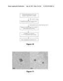 POLYMER CONJUGATED PROTEIN MICELLES diagram and image