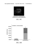 POLYMER CONJUGATED PROTEIN MICELLES diagram and image