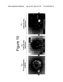 METHODS FOR TREATING HERPES VIRUS INFECTIONS diagram and image