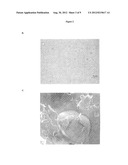 MUC1 Based Glycolipopeptide Vaccine with Adjuvant diagram and image