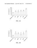 Chinese Herbal Aqueous Extract Having Anti-Anxiety Activities and Method     of In Vitro Evaluating the Same diagram and image