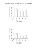 Chinese Herbal Aqueous Extract Having Anti-Anxiety Activities and Method     of In Vitro Evaluating the Same diagram and image