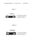 METHOD OF DETECTING METHYLATED DNA IN SAMPLE diagram and image