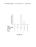 NGAL FOR DIAGNOSIS OF RENAL CONDITIONS diagram and image