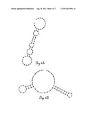 Methods of running assays using intrachain fluorophore-quencher     FRET-aptamers diagram and image