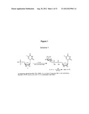 DERIVATIVES OF URIDINE PHOSPHATE AND THEIR USES IN PROTEIN BINDING ASSAYS diagram and image