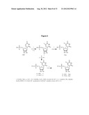 DERIVATIVES OF URIDINE PHOSPHATE AND THEIR USES IN PROTEIN BINDING ASSAYS diagram and image