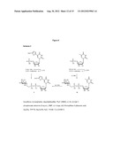 DERIVATIVES OF URIDINE PHOSPHATE AND THEIR USES IN PROTEIN BINDING ASSAYS diagram and image