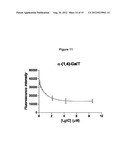 DERIVATIVES OF URIDINE PHOSPHATE AND THEIR USES IN PROTEIN BINDING ASSAYS diagram and image