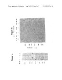 MASP 2, A COMPLEMENT-FIXING ENZYME, AND USES FOR IT diagram and image