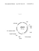 TRANSCRIPTION FACTOR-BASED BIOSENSORS FOR DETECTING DICARBOXYLIC ACIDS diagram and image