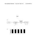  METHOD FOR OBTAINING STRUCTURAL AND FUNCTIONAL INFORMATION ON PROTEINS,     BASED ON POLARIZATION FLUORESCENCE MICROSCOPY, AND A DEVICE IMPLEMENTING     SAID METHOD diagram and image