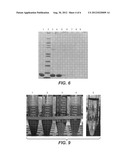 Cross-Flow Membrane Filtration-Based Process For Protein Recovery diagram and image