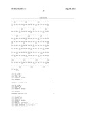 Maize Cellulose Synthases and Uses Thereof diagram and image