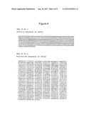 NOVEL POLYPEPTIDE HAVING ESTERASE ACTIVITY AND RECOMBINANT ESTERASE AND     USE THEREOF diagram and image