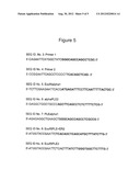 NOVEL POLYPEPTIDE HAVING ESTERASE ACTIVITY AND RECOMBINANT ESTERASE AND     USE THEREOF diagram and image