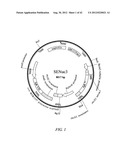 HERBICIDE RESISTANT ORGANISMS diagram and image