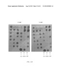 HERBICIDE RESISTANT ORGANISMS diagram and image