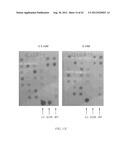 HERBICIDE RESISTANT ORGANISMS diagram and image