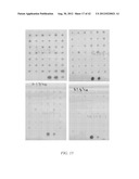 HERBICIDE RESISTANT ORGANISMS diagram and image