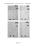 HERBICIDE RESISTANT ORGANISMS diagram and image