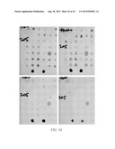 HERBICIDE RESISTANT ORGANISMS diagram and image