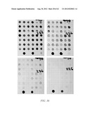 HERBICIDE RESISTANT ORGANISMS diagram and image