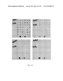 HERBICIDE RESISTANT ORGANISMS diagram and image