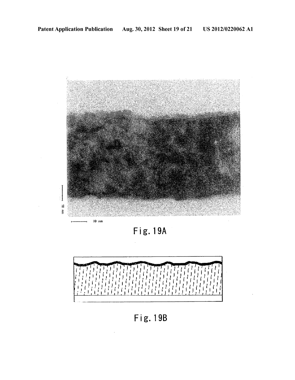 LIQUID CRYSTAL DISPLAY DEVICE AND MANUFACTURING METHOD OF LIQUID CRYSTAL     DISPLAY DEVICE - diagram, schematic, and image 20