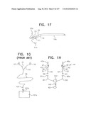 BIOLOGICALLY FIT WEARABLE ELECTRONICS APPARATUS AND METHODS diagram and image