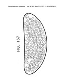 BIOLOGICALLY FIT WEARABLE ELECTRONICS APPARATUS AND METHODS diagram and image