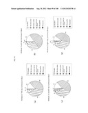 GAME INFORMATION CONSOLIDATION SYSTEM diagram and image