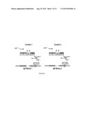 Measurement and Monitoring of Cell Clonality diagram and image