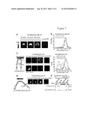 METHOD AND COMPOSITIONS FOR DETECTING BOTULINUM NEUROTOXIN diagram and image