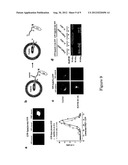 METHOD AND COMPOSITIONS FOR DETECTING BOTULINUM NEUROTOXIN diagram and image