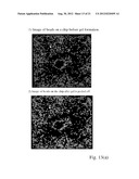 ARRAYS OF MICROPARTICLES AND METHODS OF PREPARATION THEREOF diagram and image