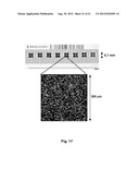 ARRAYS OF MICROPARTICLES AND METHODS OF PREPARATION THEREOF diagram and image