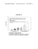 MODIFIED PEPTIDES HAVING TOXIN-ENHANCING EFFECTS diagram and image