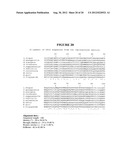 MODIFIED PEPTIDES HAVING TOXIN-ENHANCING EFFECTS diagram and image