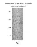 PYRAZOLE DERIVATIVES, PREPARATION METHOD THEREOF, AND COMPOSITION FOR     PREVENTION AND TREATMENT OF OSTEOPOROSIS CONTAINING SAME diagram and image