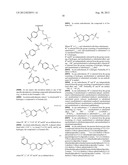 PHOSPHORUS CONTAINING COMPOUNDS AS PROTEIN KINASE INHIBITORS diagram and image