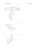 FUSED HETEROCYCLIC RING DERIVATIVE AND USE THEREOF diagram and image