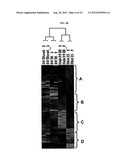 METHODS FOR TREATING CANCER IN PATIENTS HAVING IGF-1R INHIBITOR RESISTANCE diagram and image