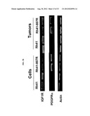 METHODS FOR TREATING CANCER IN PATIENTS HAVING IGF-1R INHIBITOR RESISTANCE diagram and image